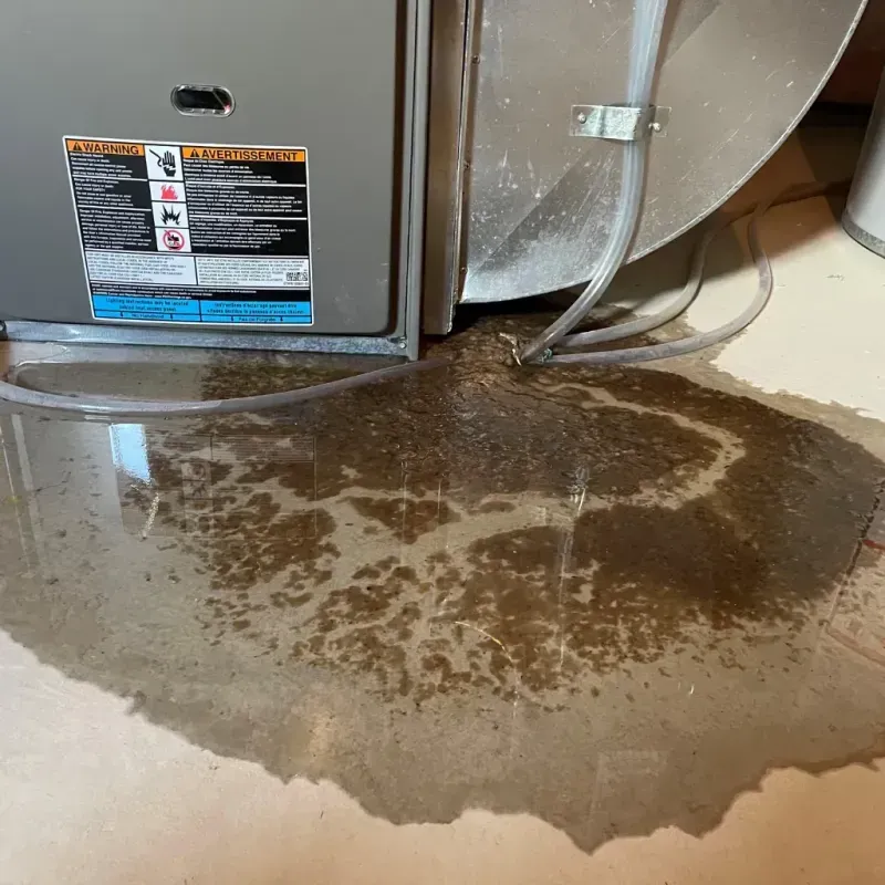 Appliance Leak Cleanup in Gary, IN